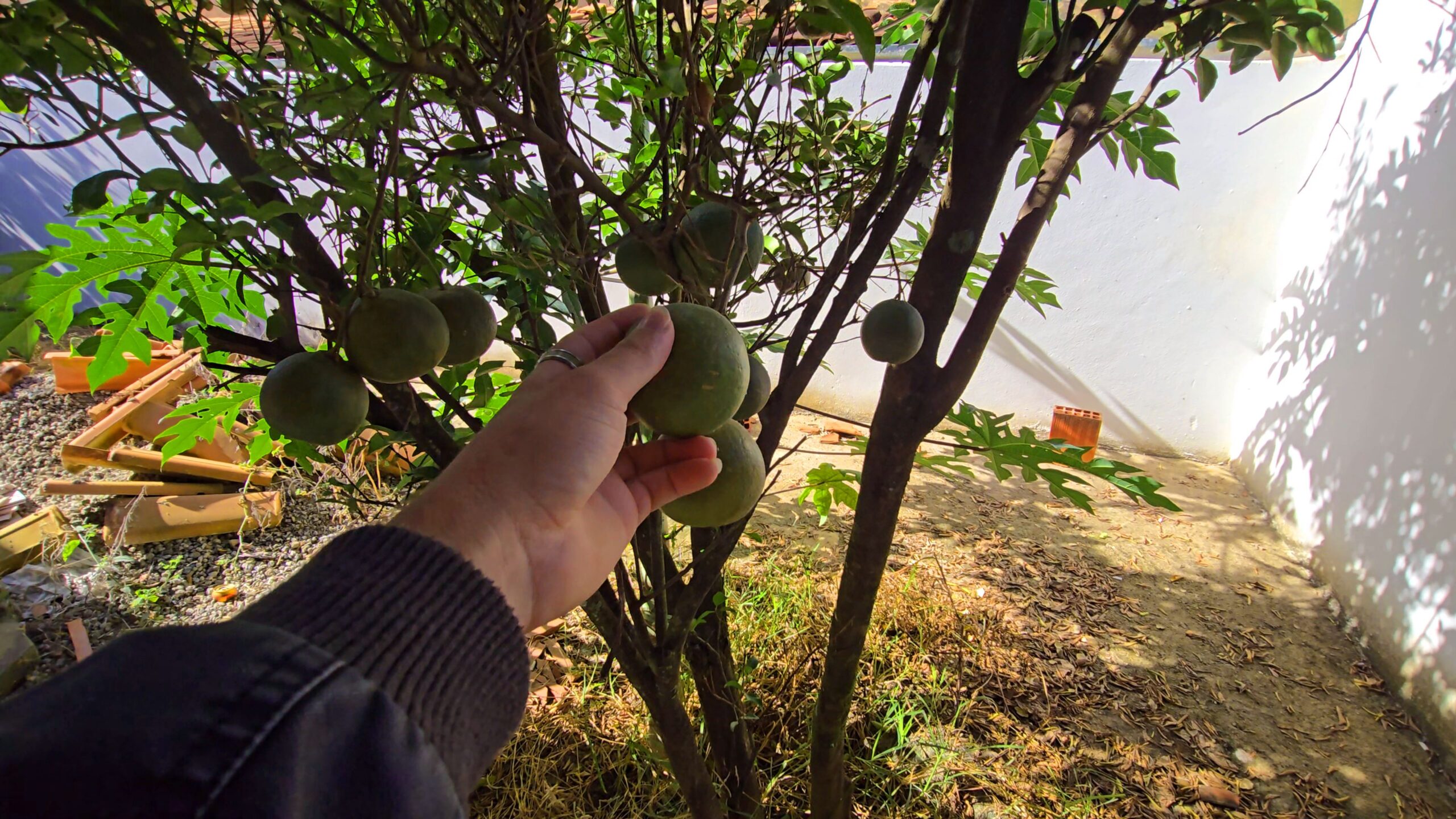 Snapshot_554-compressed