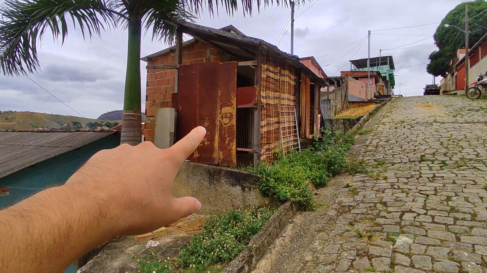 Snapshot_557-compressed