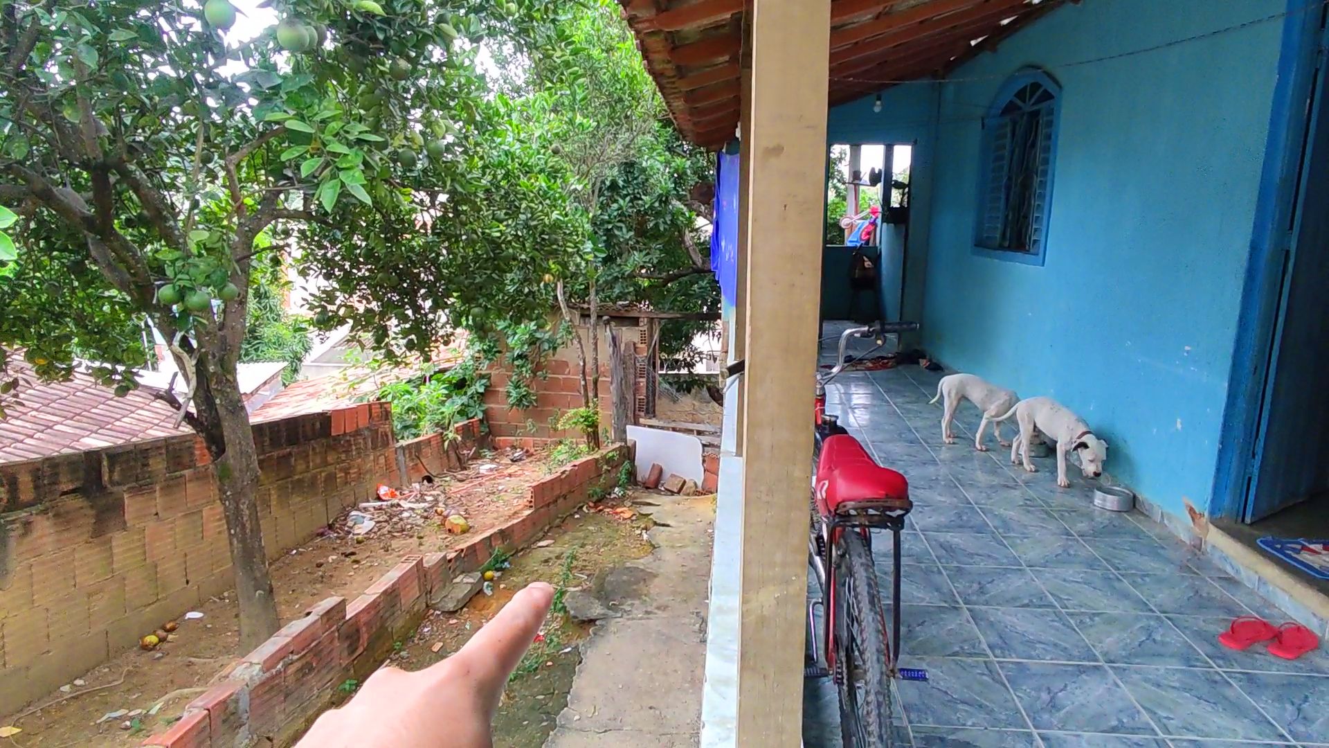 Snapshot_560-compressed