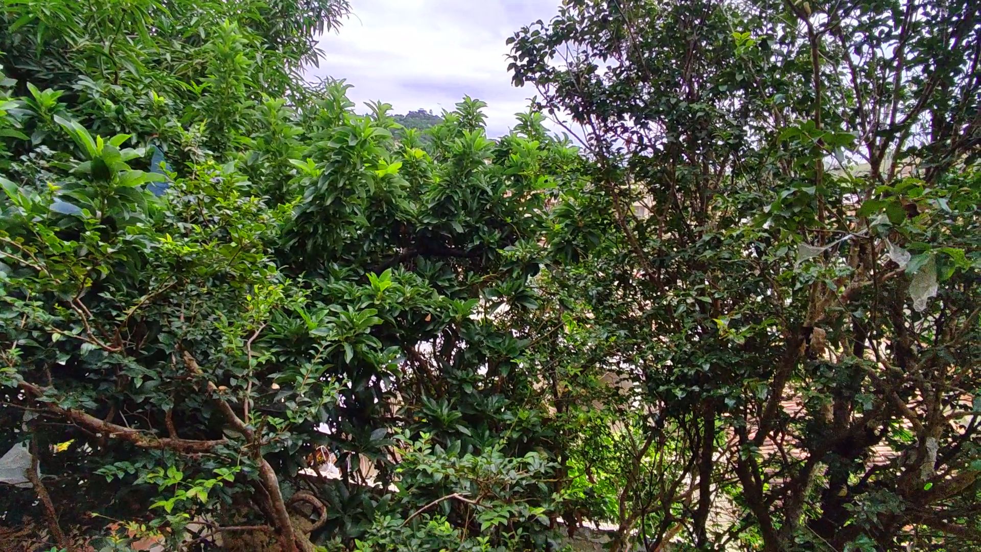 Snapshot_564-compressed