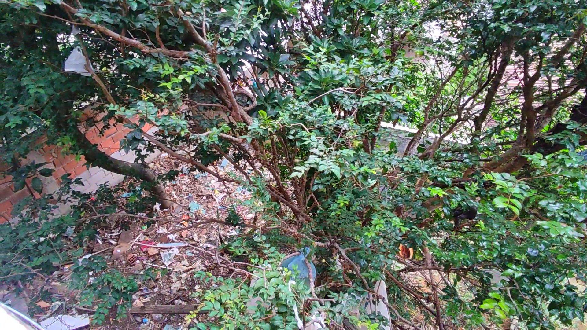 Snapshot_566-compressed