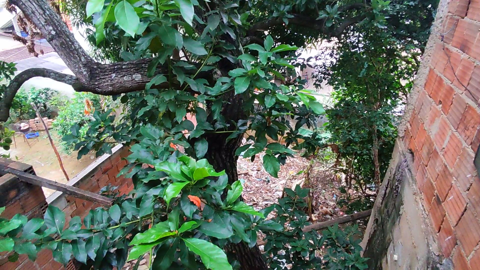 Snapshot_574-compressed