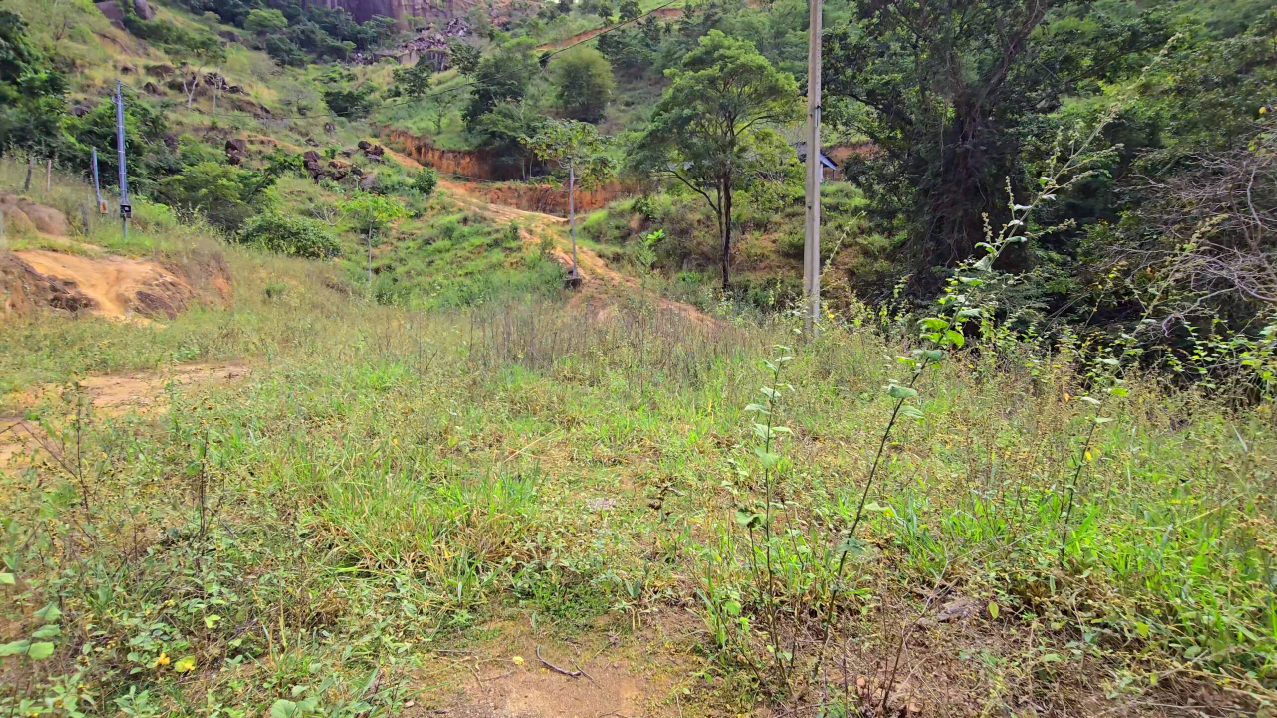 Snapshot_580-compressed