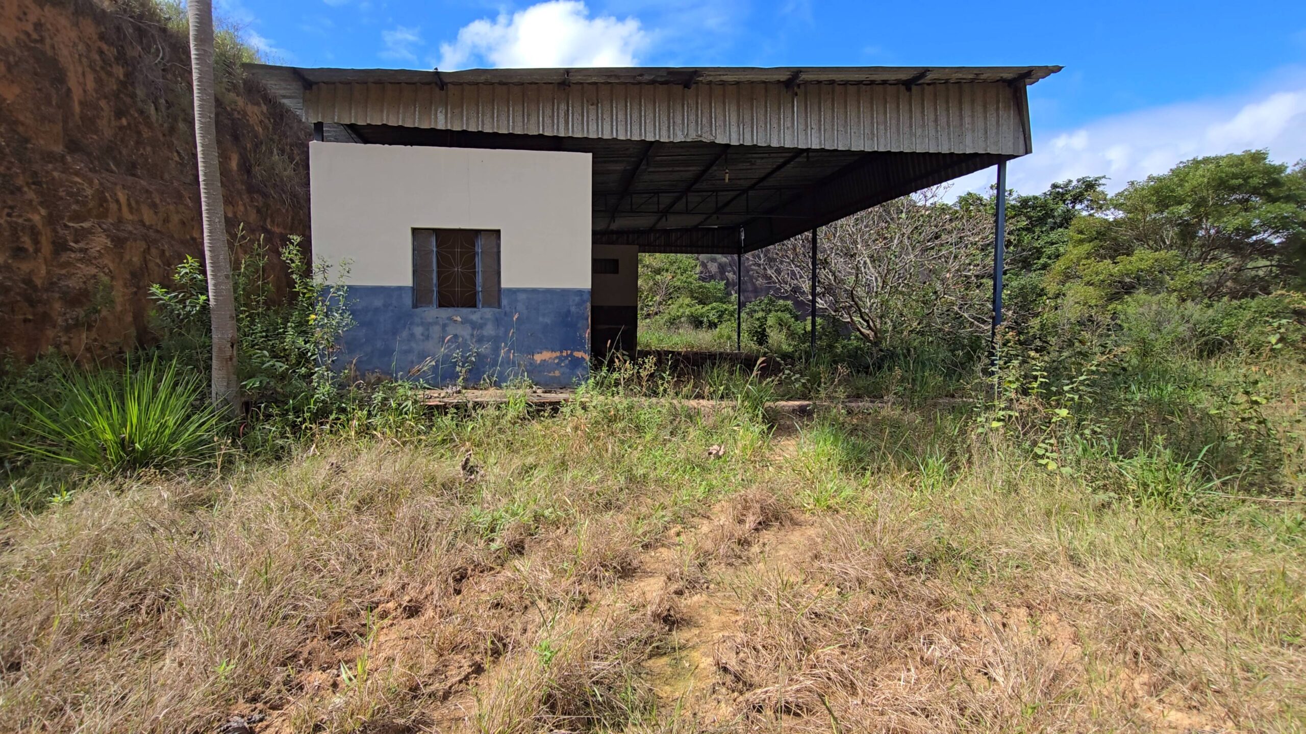 Snapshot_582-compressed