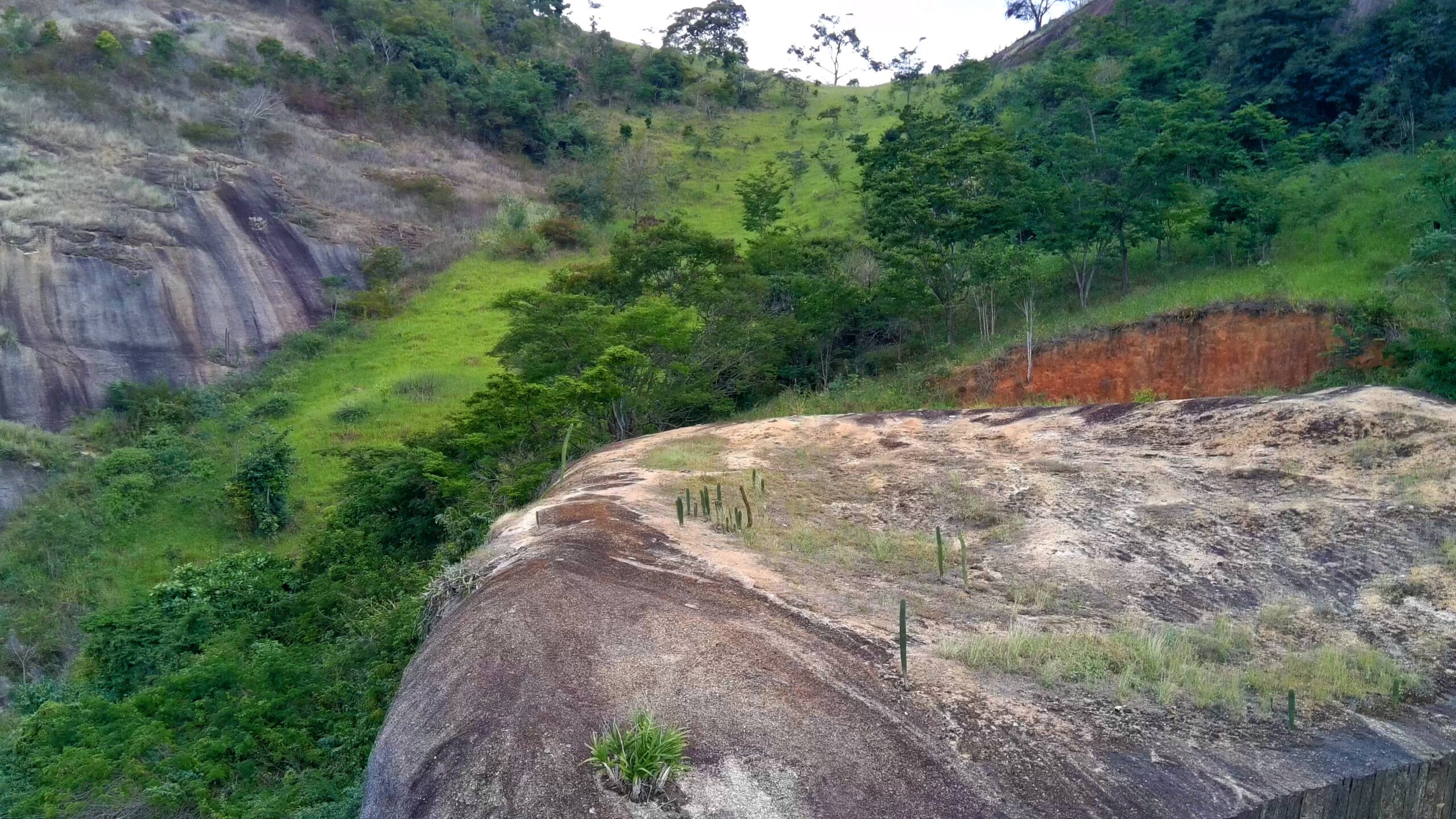 Snapshot_587-compressed