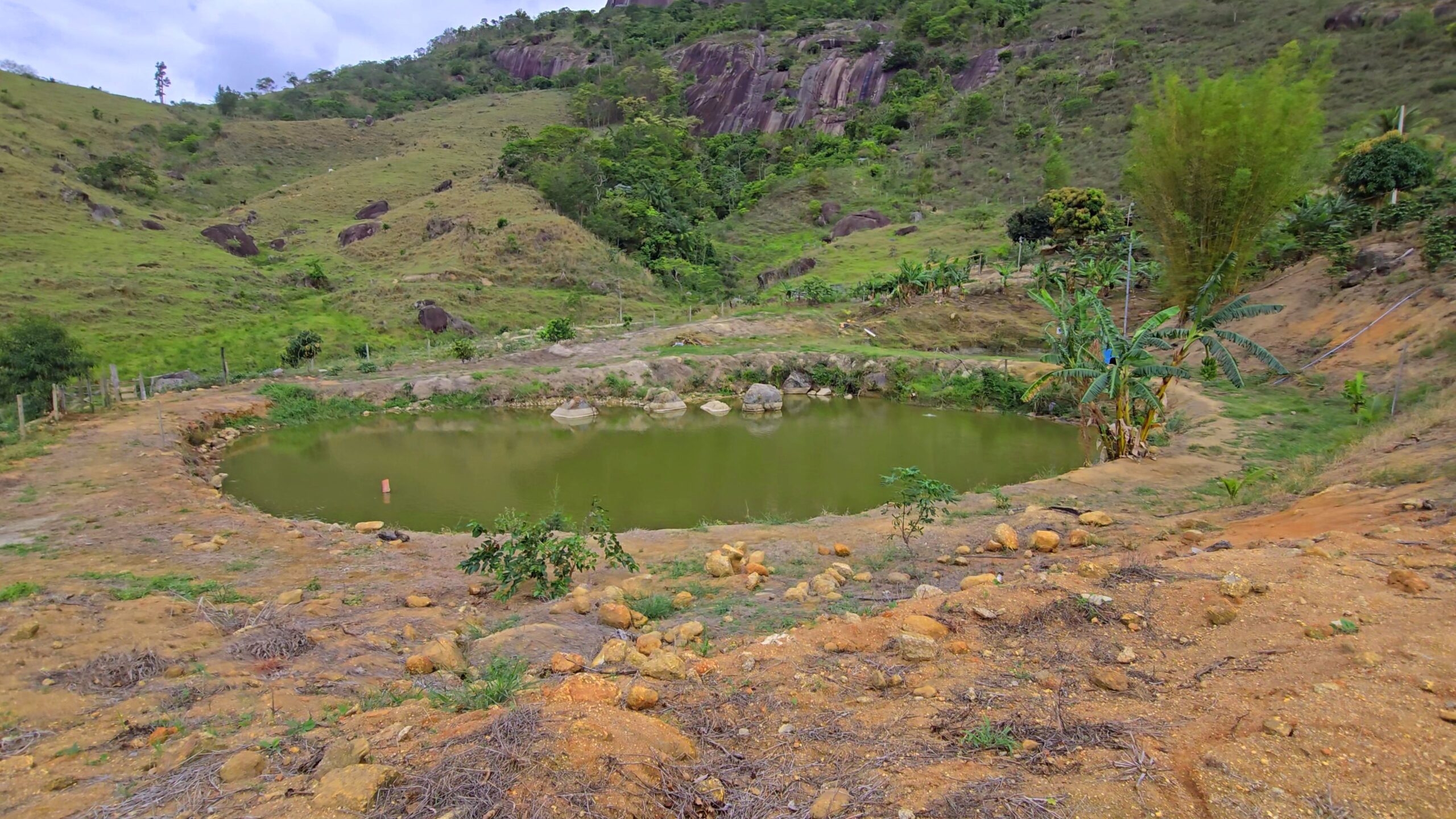 Snapshot_591-compressed