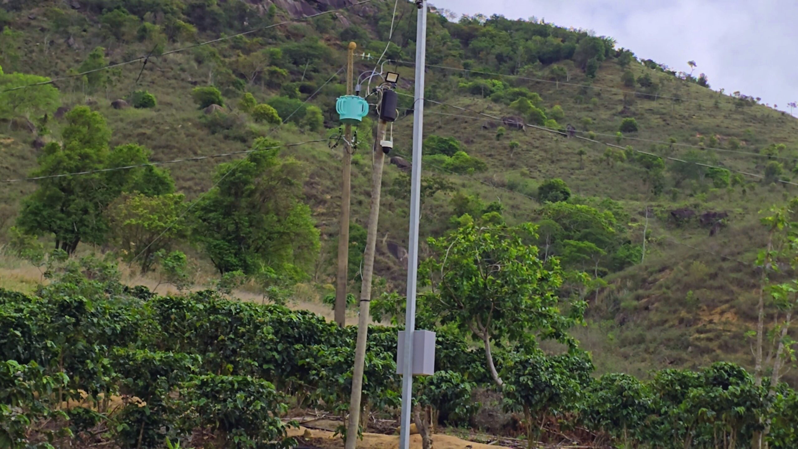 Snapshot_592-compressed