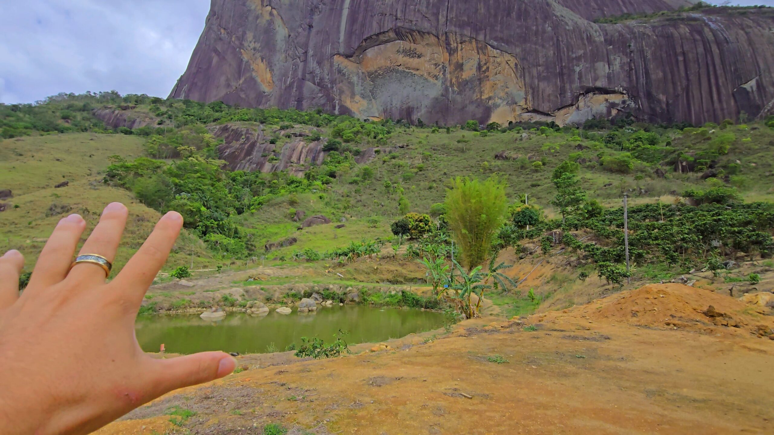 Snapshot_594-compressed