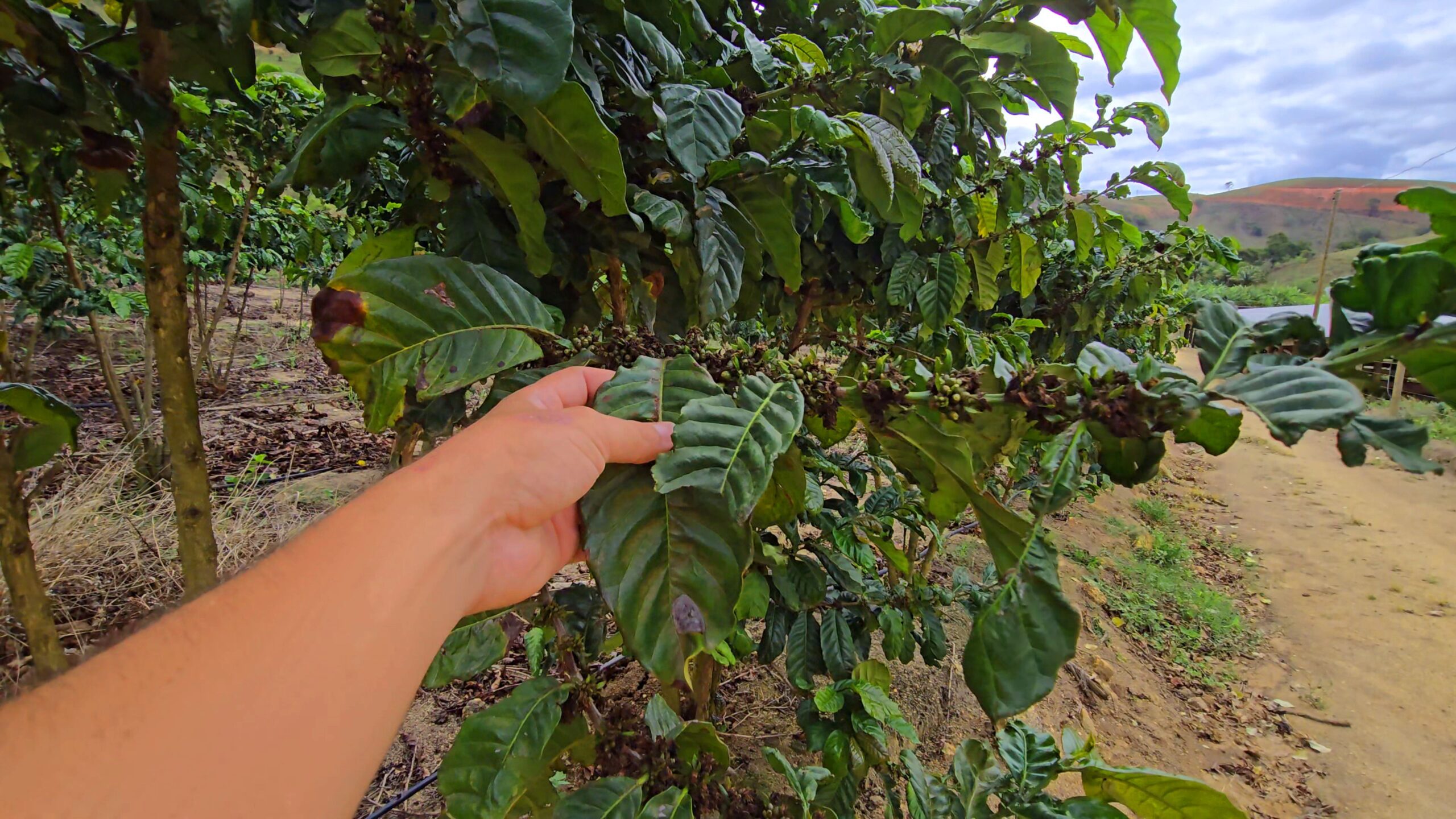 Snapshot_596-compressed