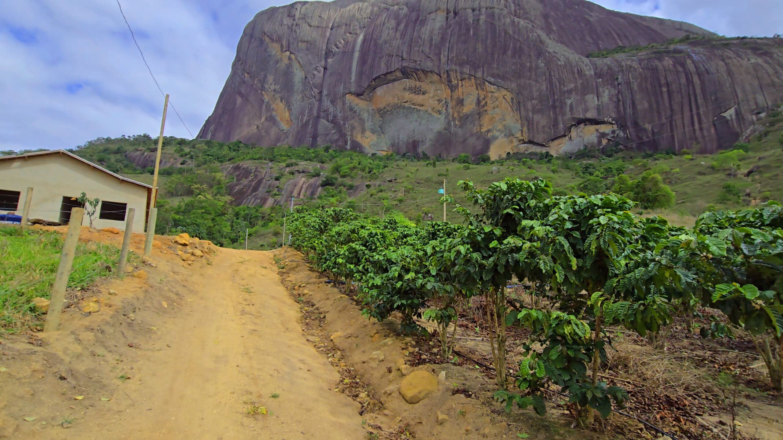 Snapshot_598-compressed