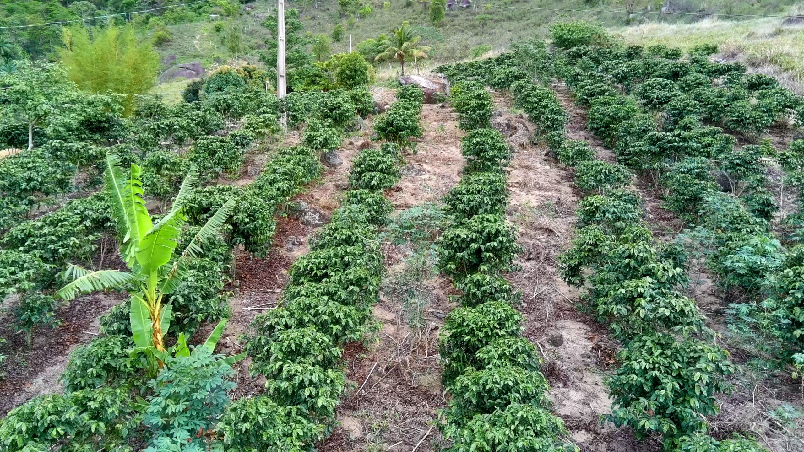 Snapshot_599-compressed