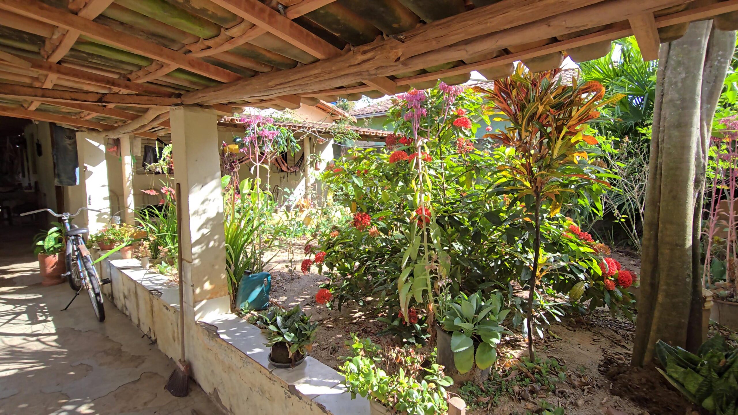 Snapshot_601-compressed (1)