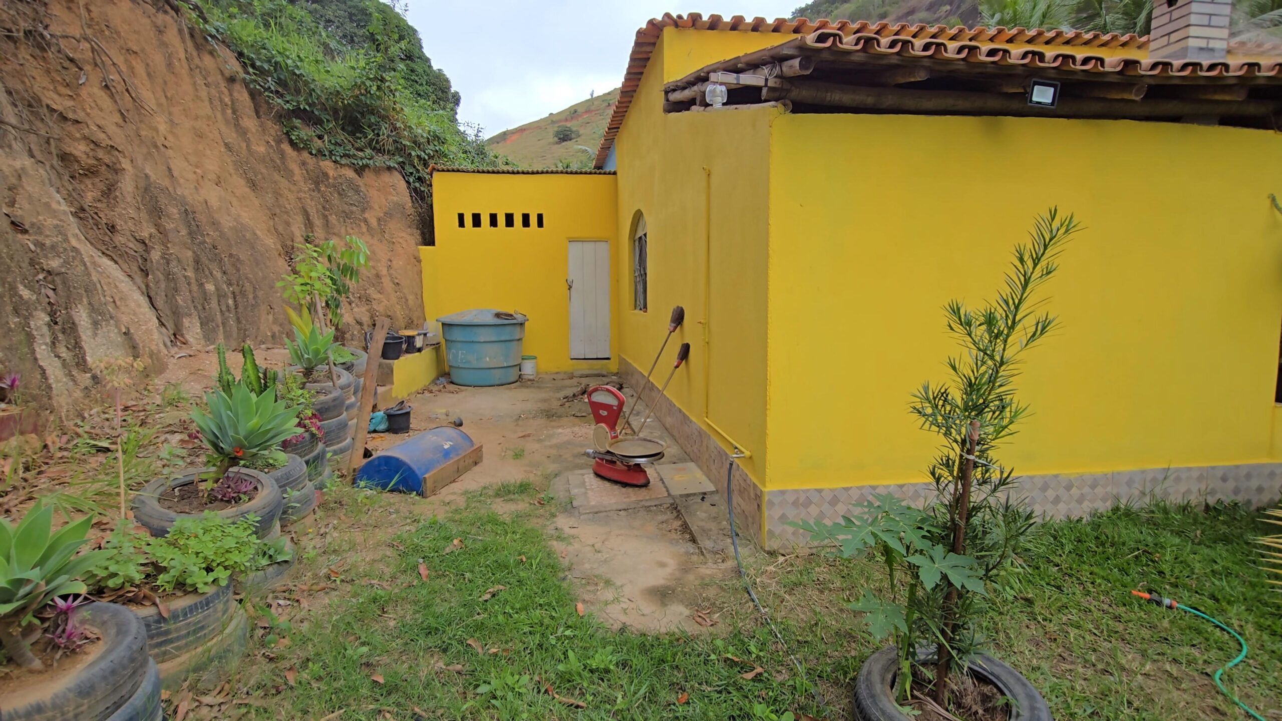 Snapshot_604-compressed (1)