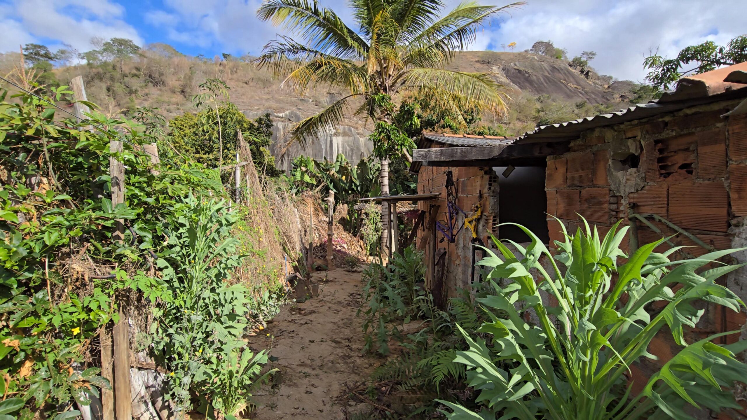 Snapshot_604-compressed