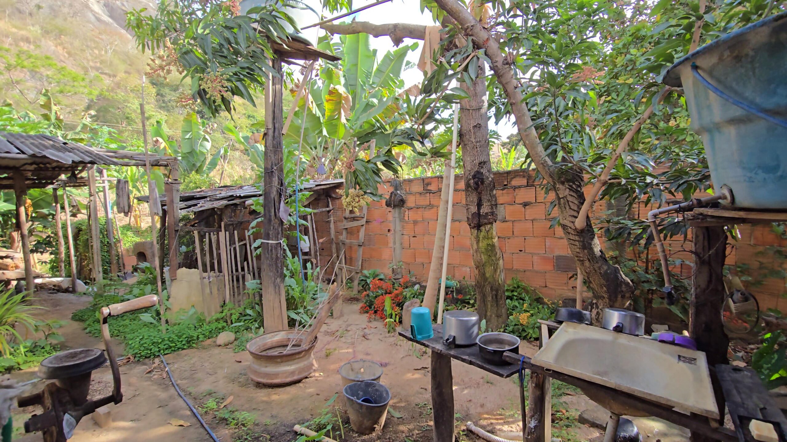 Snapshot_608-compressed (1)