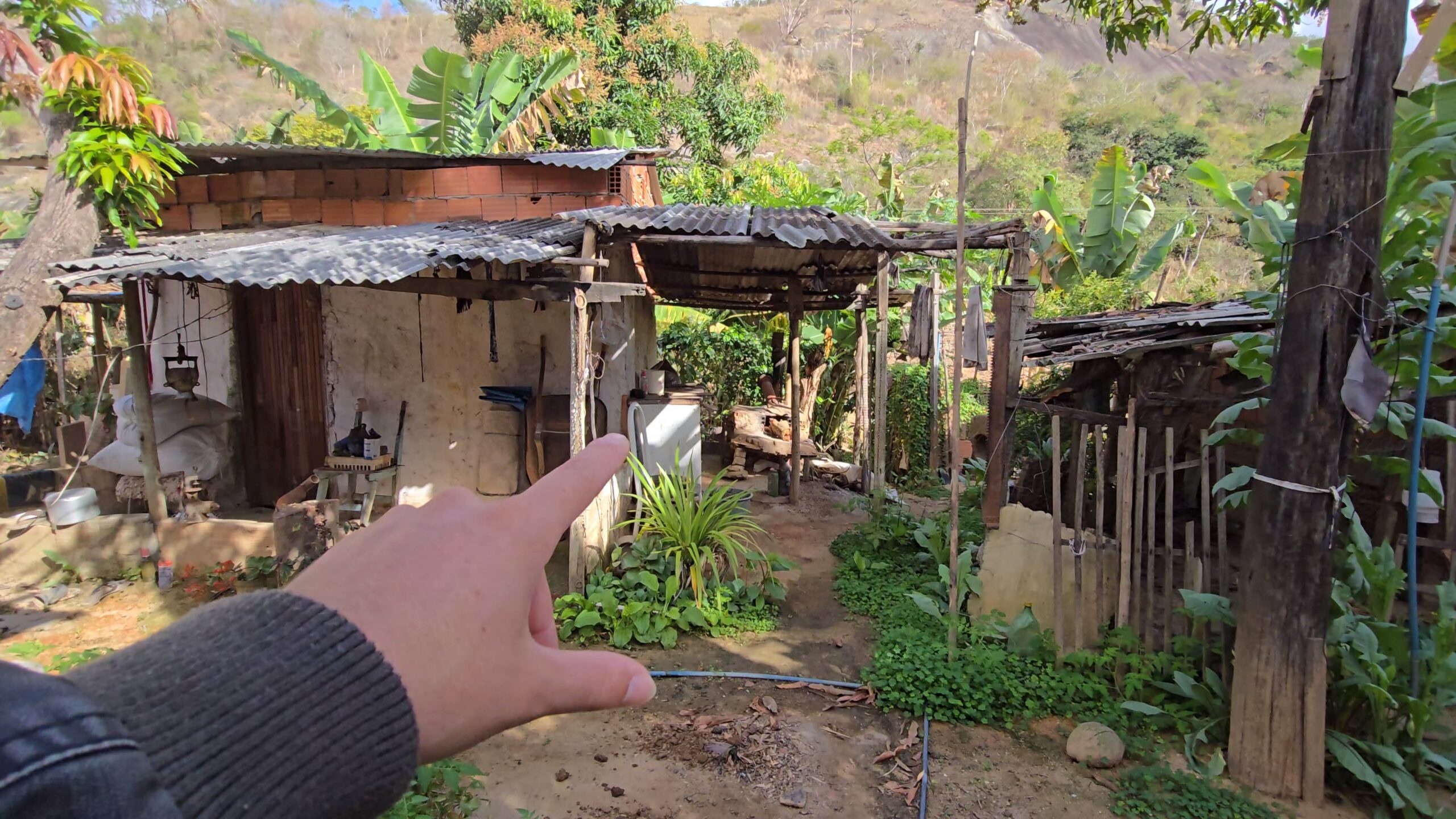 Snapshot_609-compressed (1)