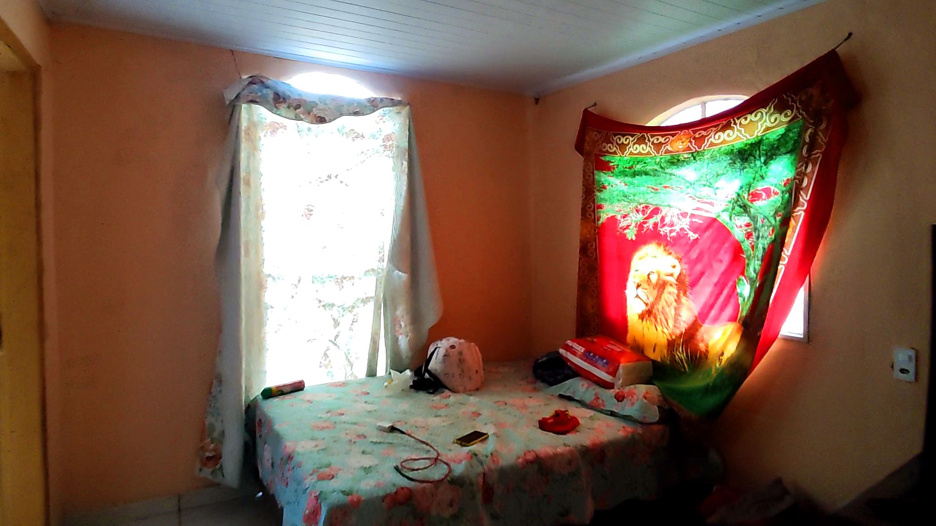 Snapshot_610-compressed