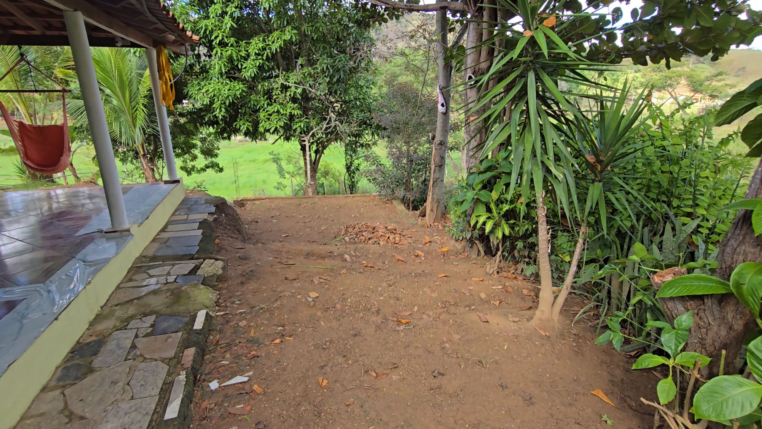 Snapshot_611-compressed (2)