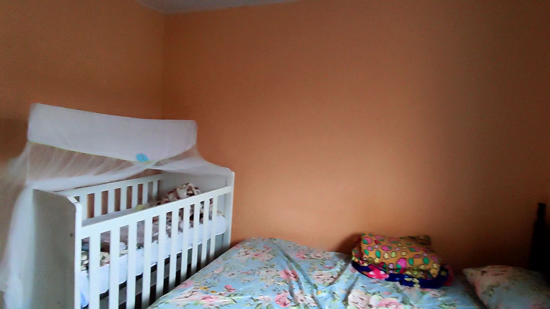 Snapshot_611-compressed