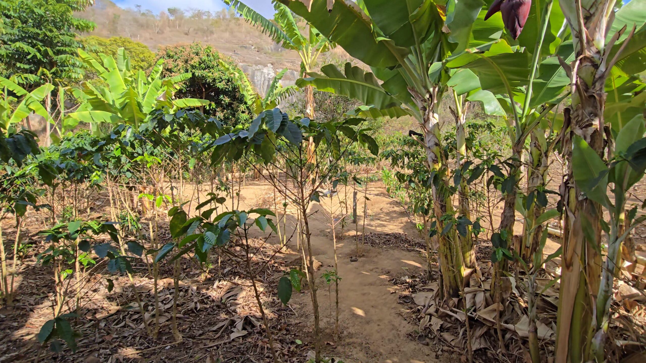 Snapshot_612-compressed