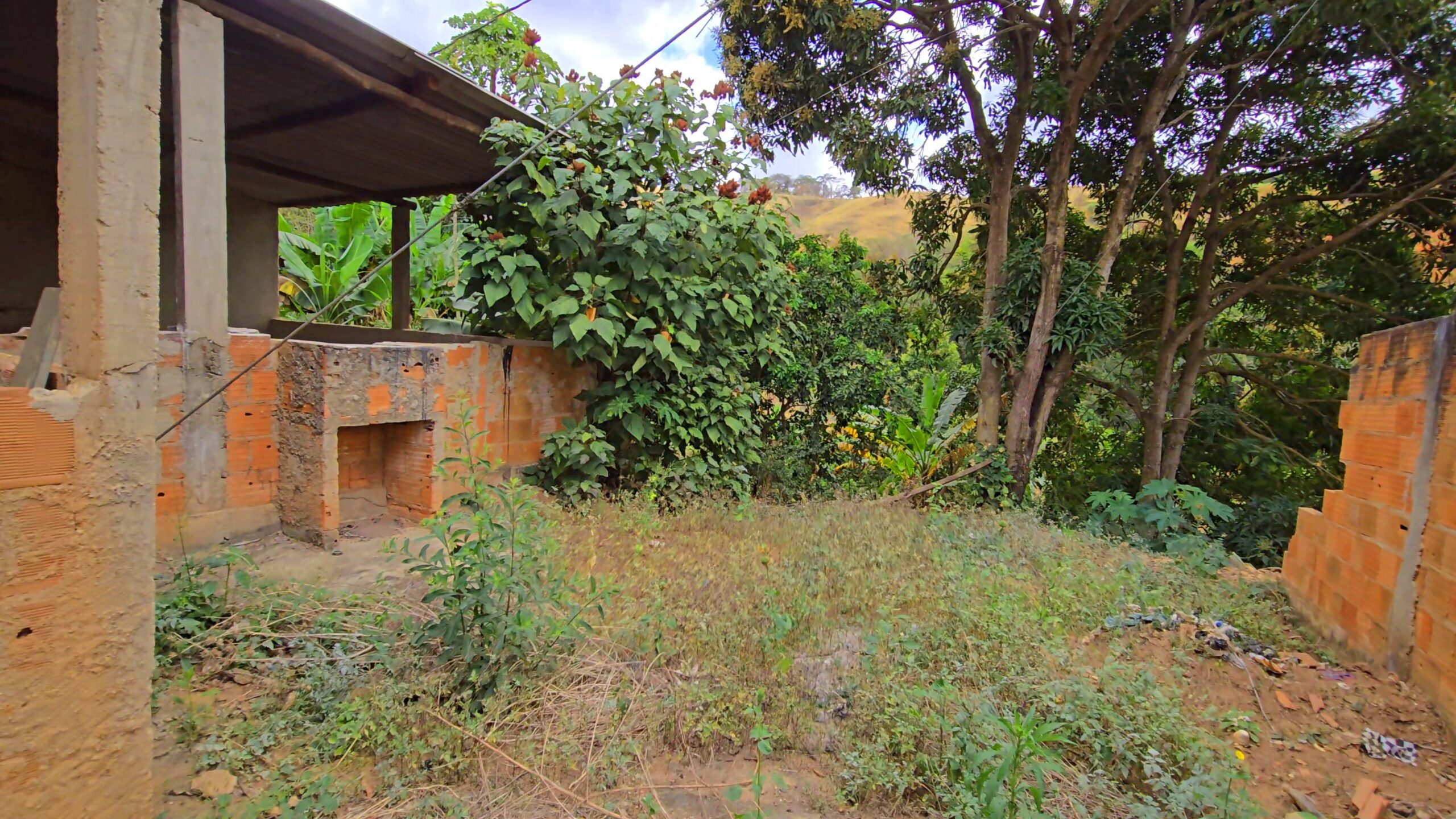 Snapshot_613-compressed (1)