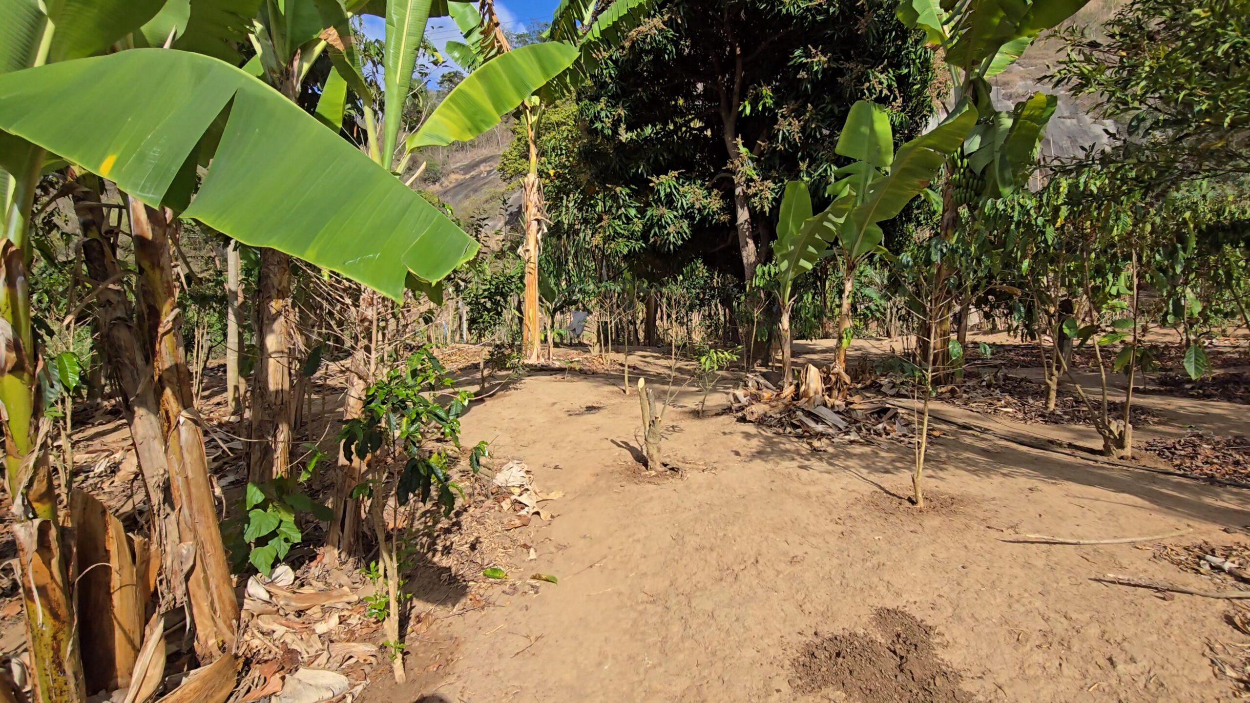 Snapshot_613-compressed