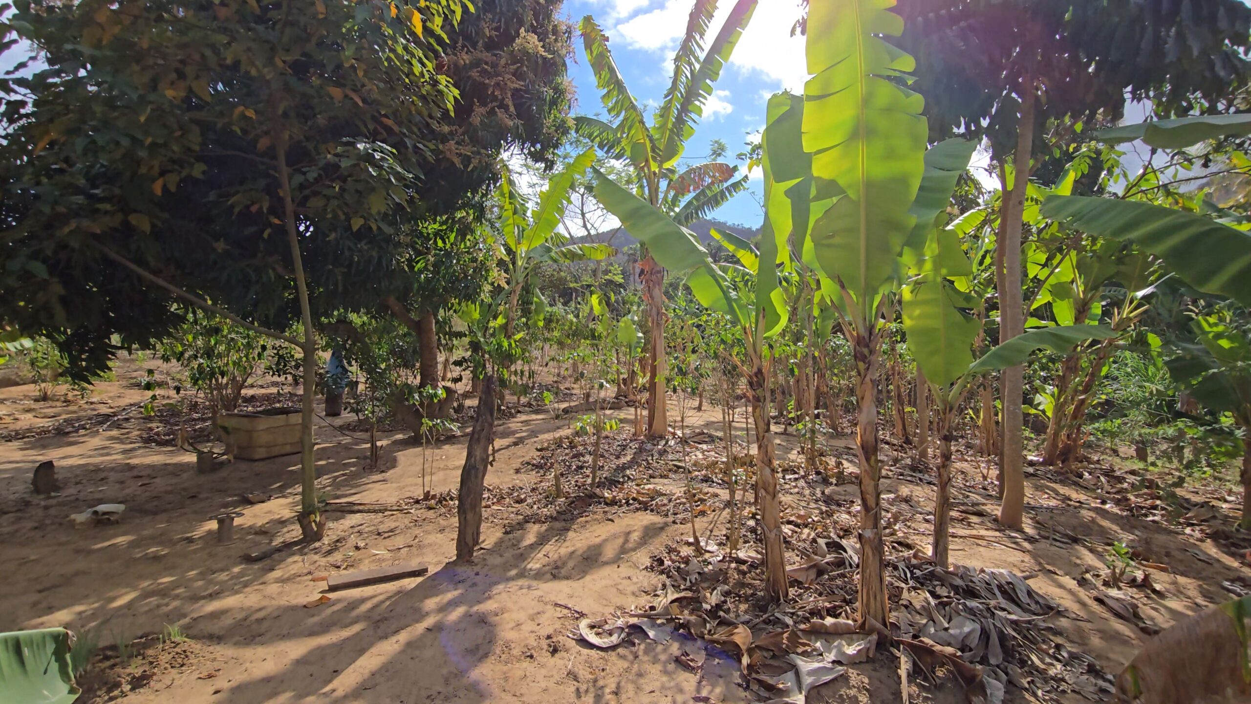 Snapshot_614-compressed (1)