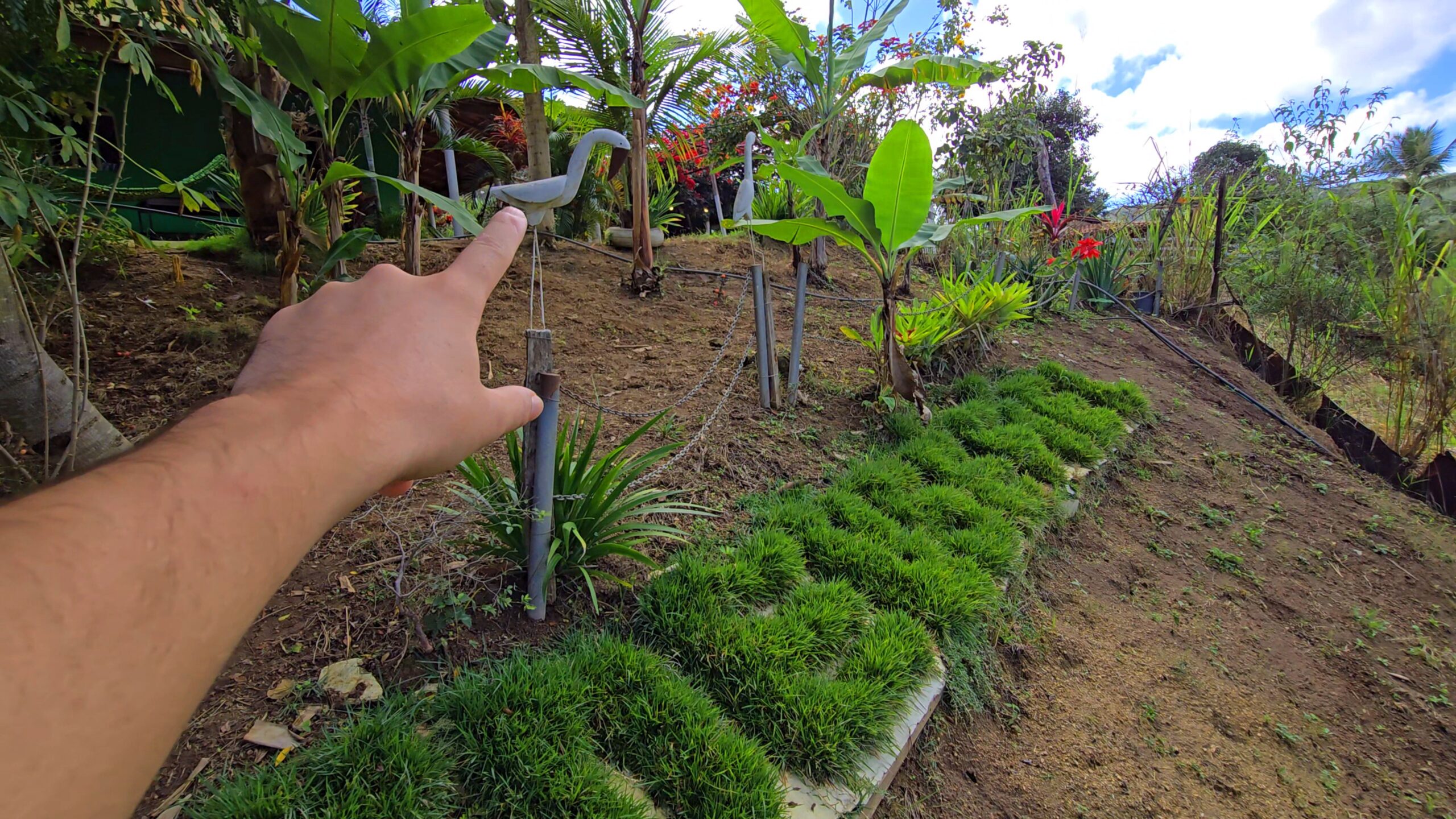 Snapshot_614-compressed (2)