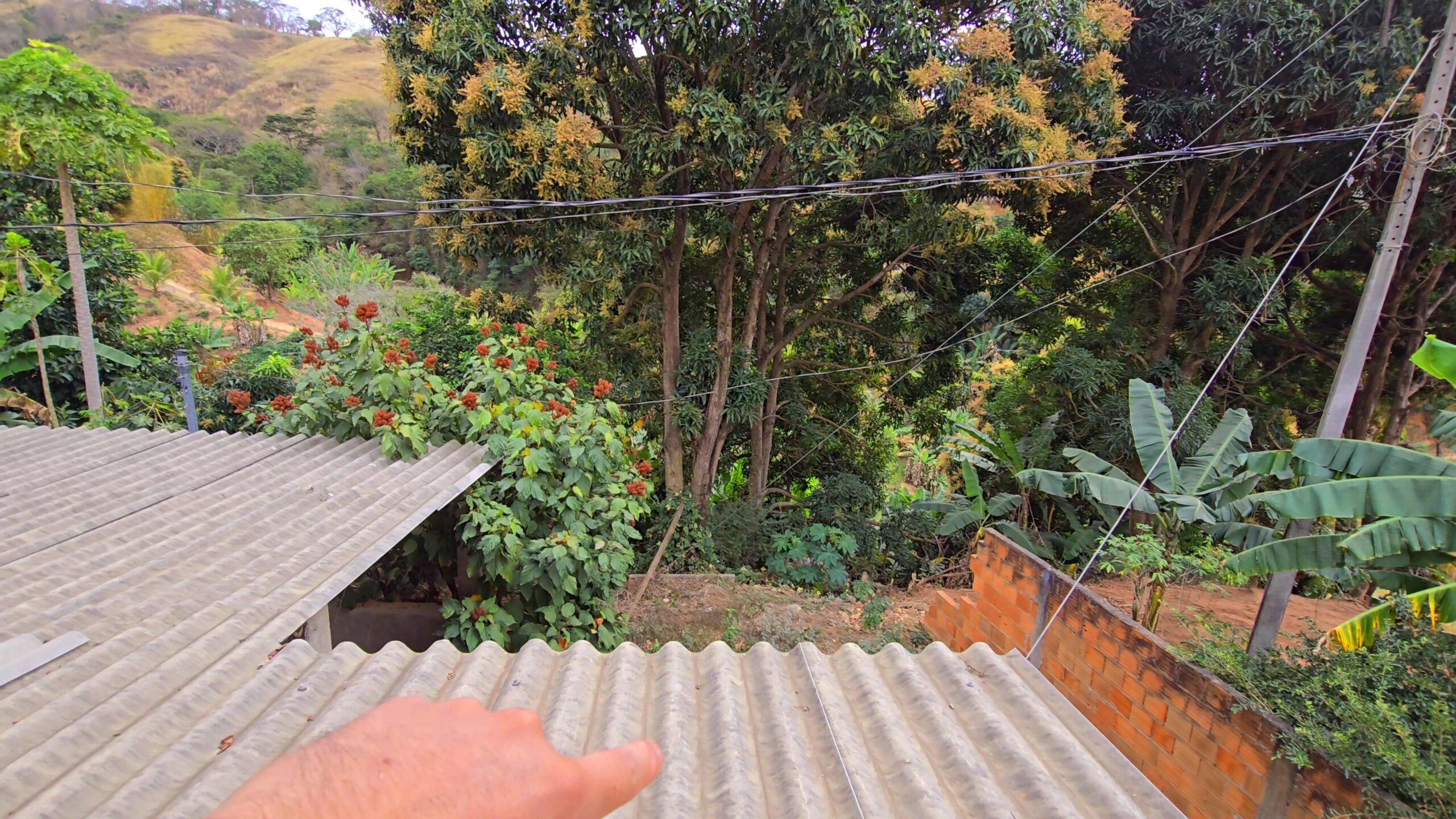 Snapshot_615-compressed