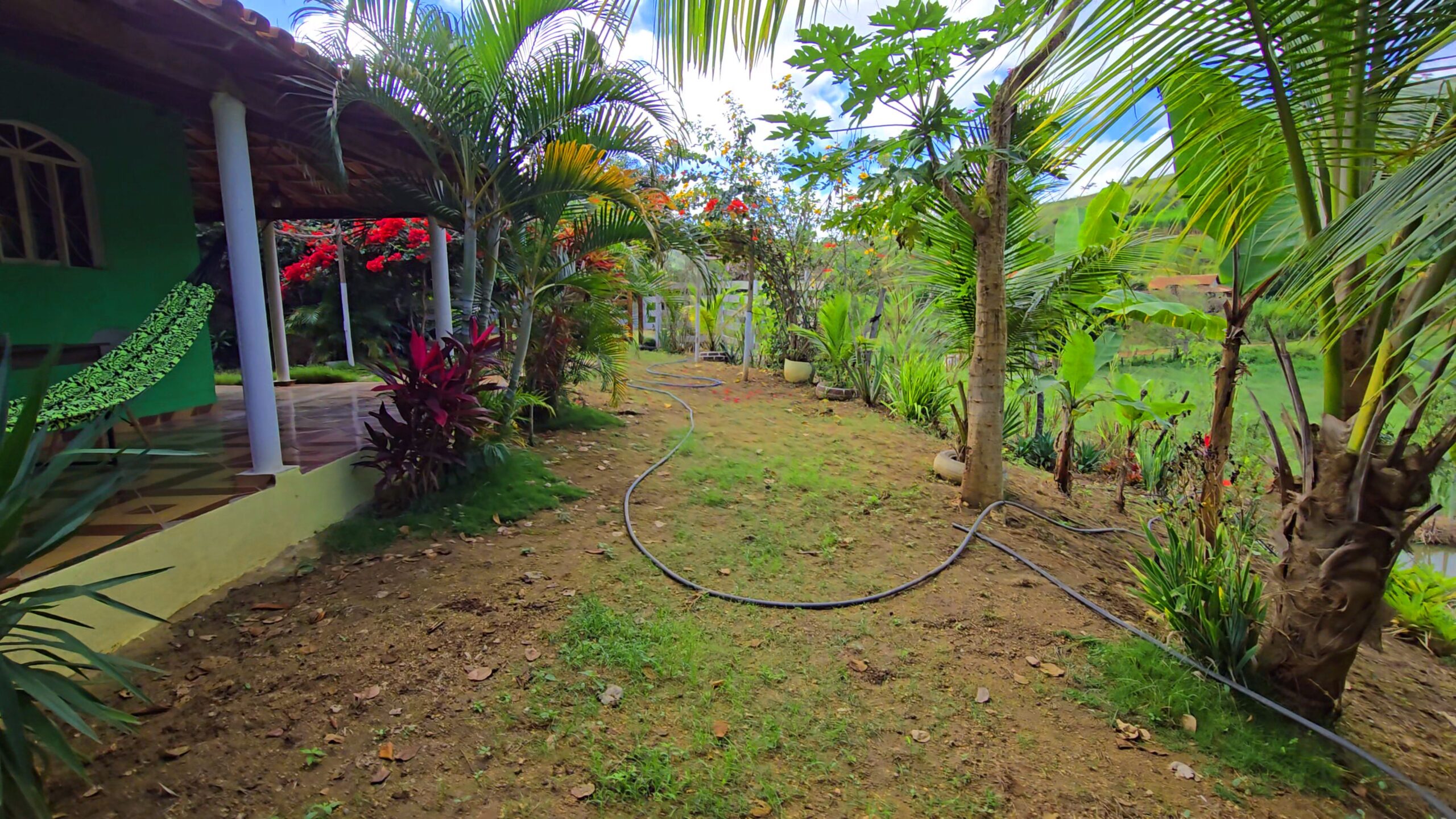 Snapshot_616-compressed (1)