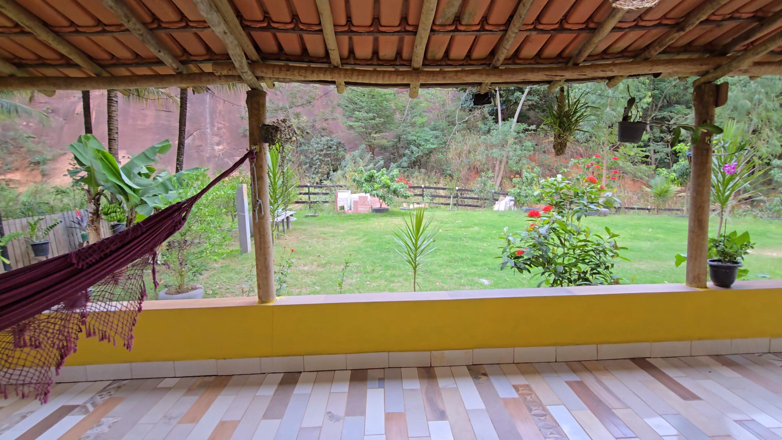 Snapshot_616-compressed (2)