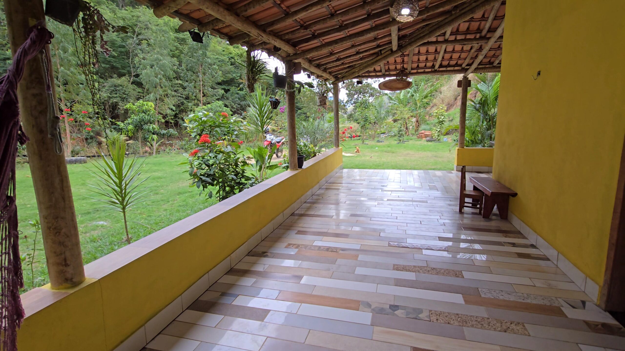 Snapshot_617-compressed (1)