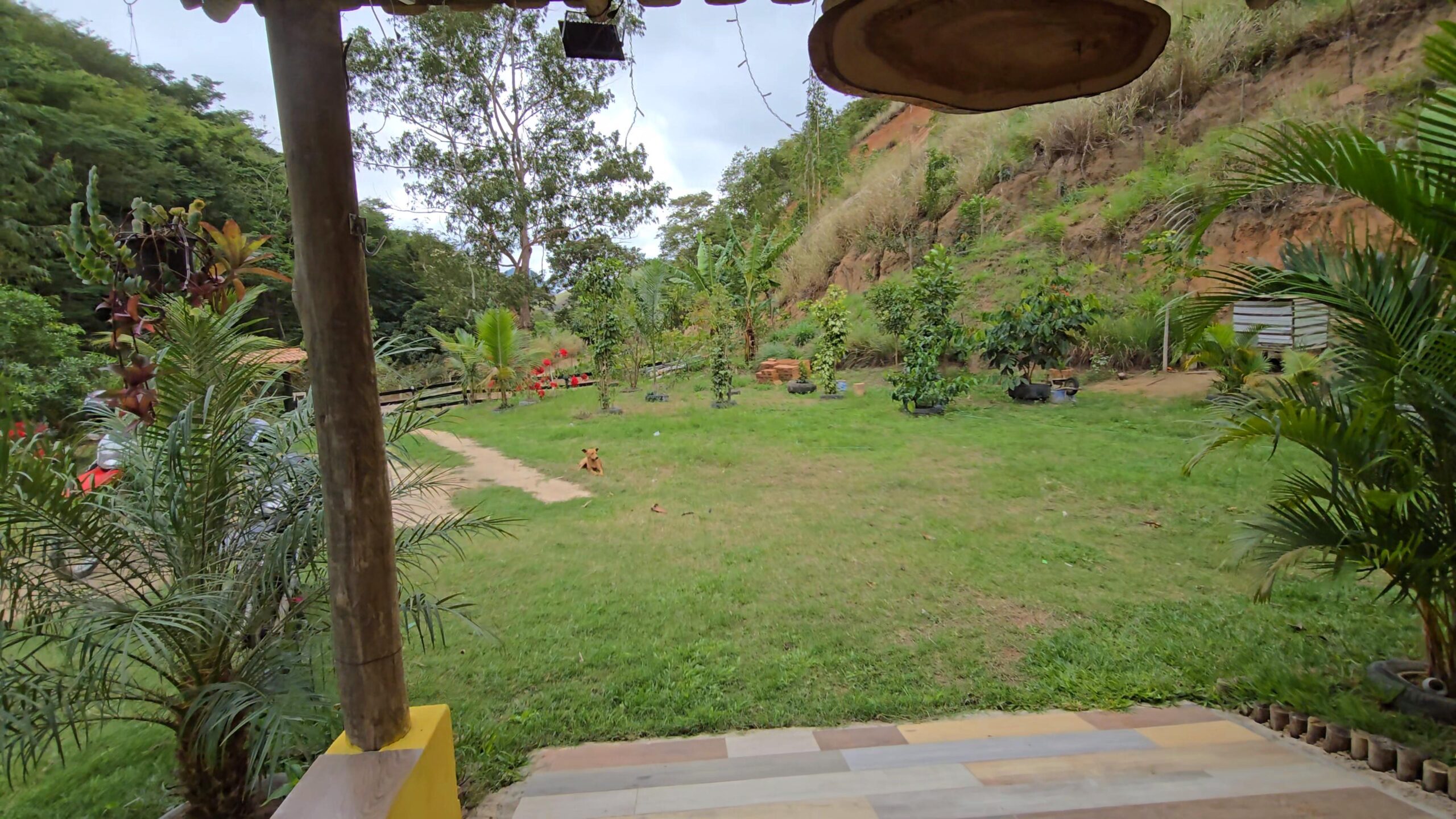 Snapshot_618-compressed (1)