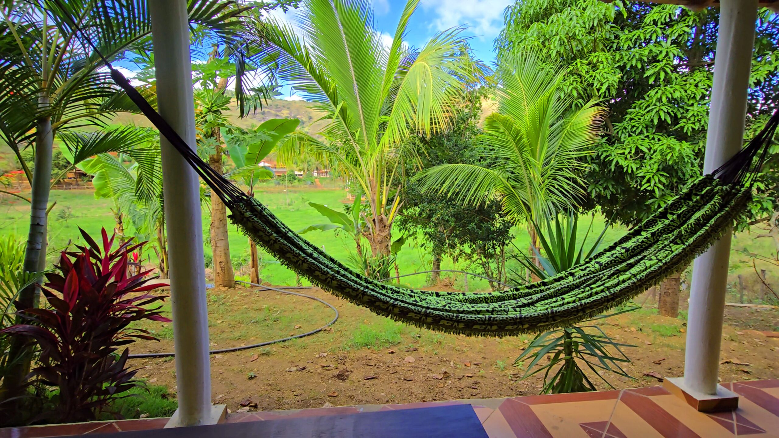 Snapshot_618-compressed