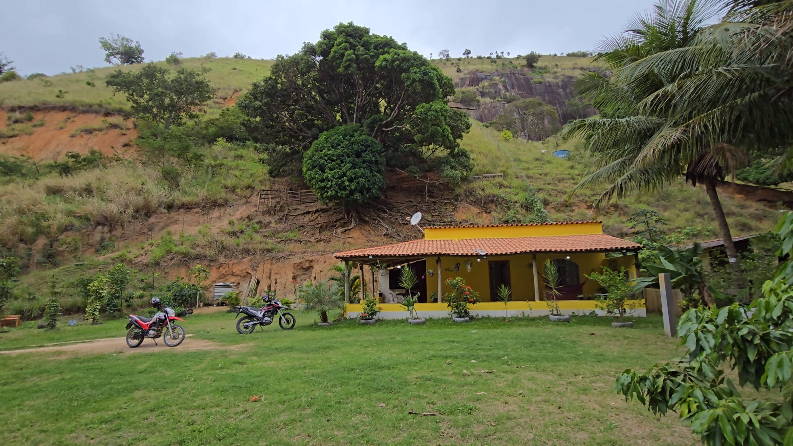 Snapshot_619-compressed (1)