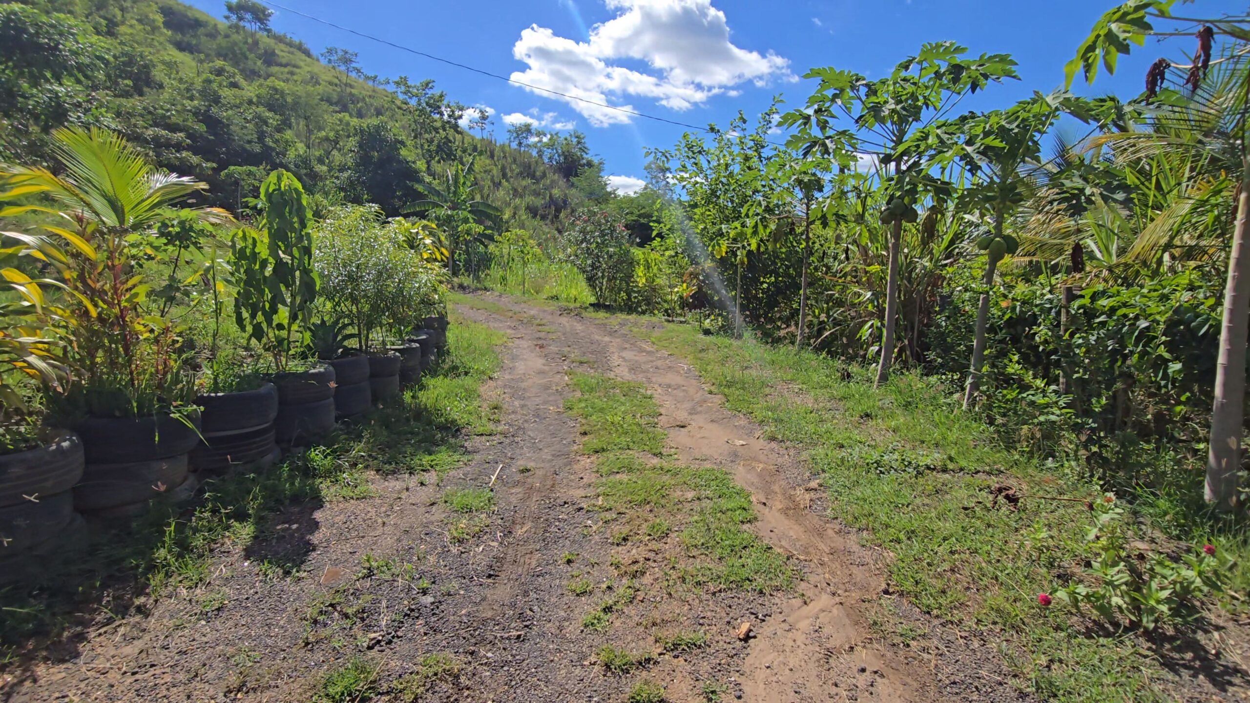 Snapshot_603-compressed (1)