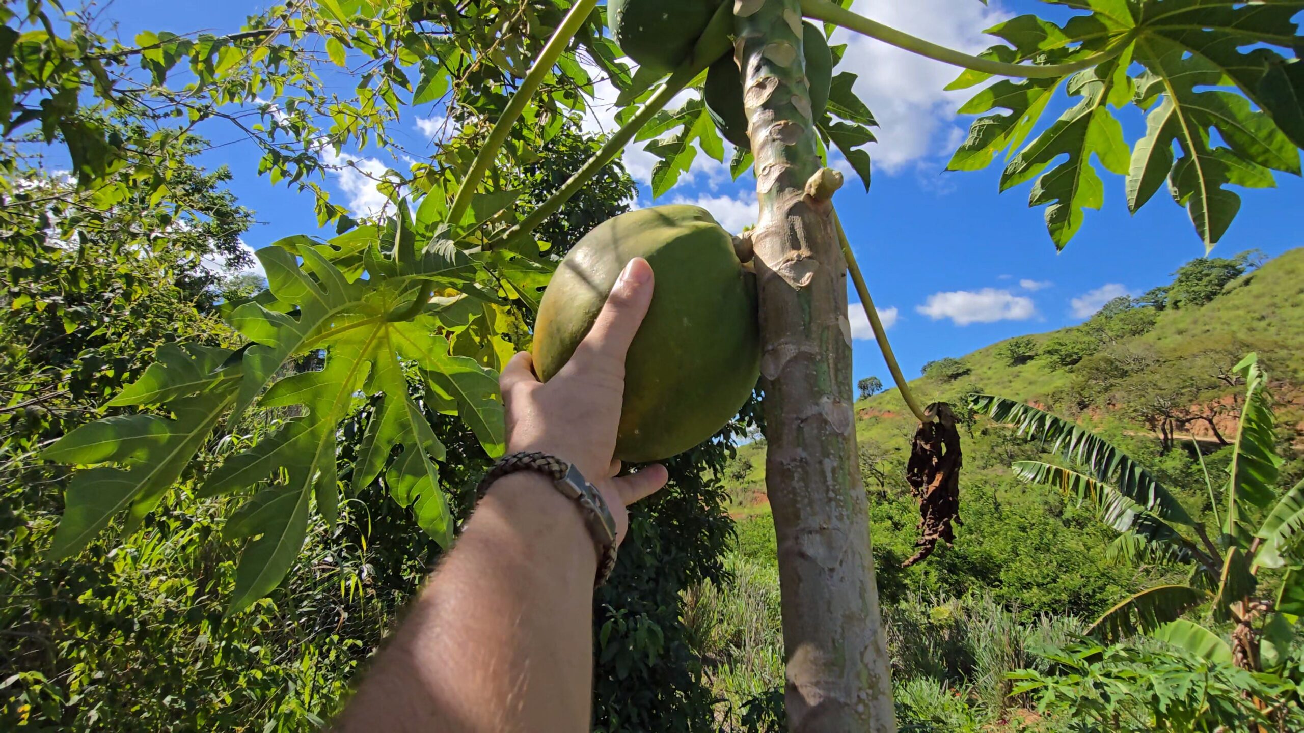 Snapshot_608-compressed (2)