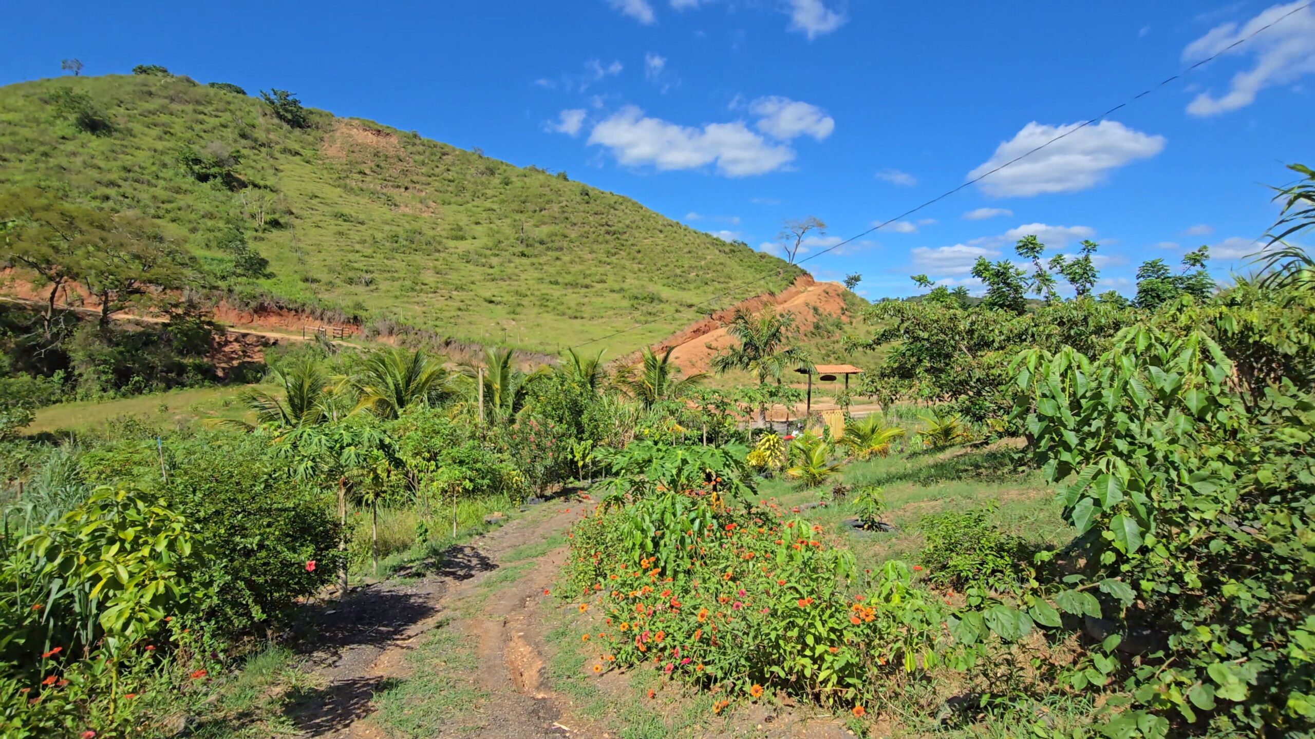 Snapshot_609-compressed (2)