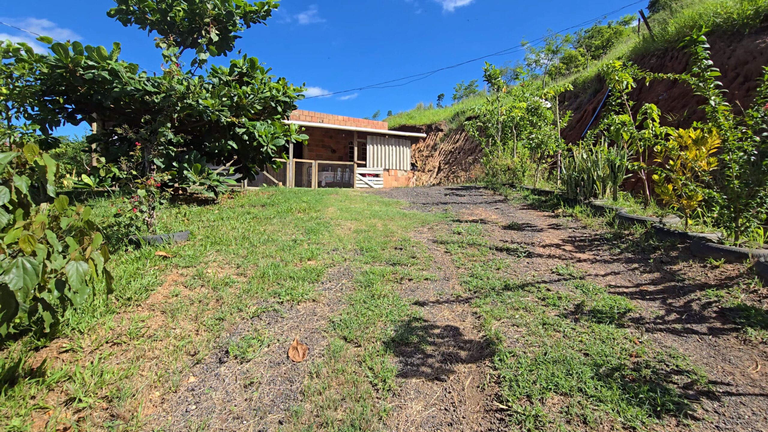 Snapshot_610-compressed (2)