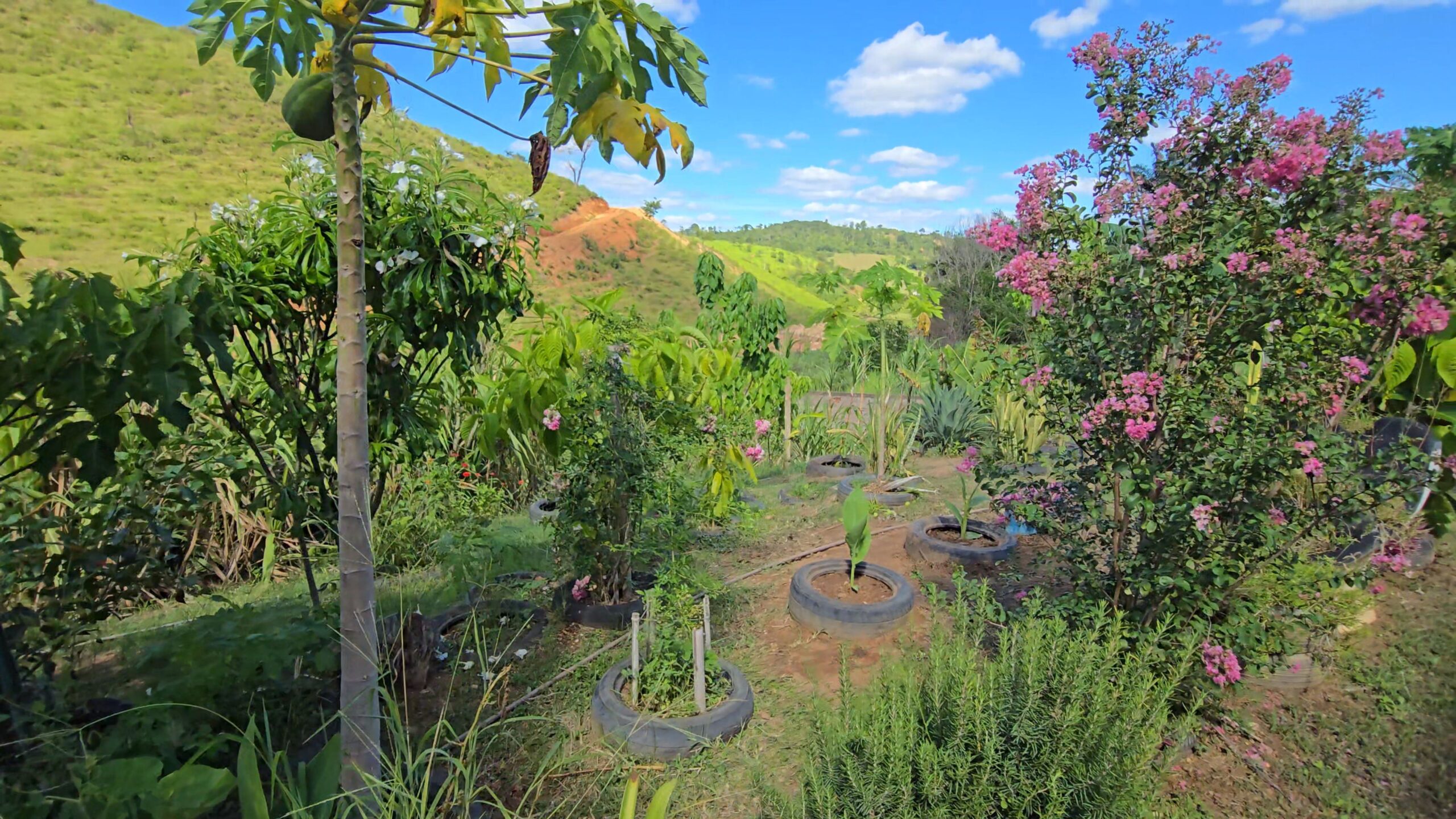 Snapshot_615-compressed (3)