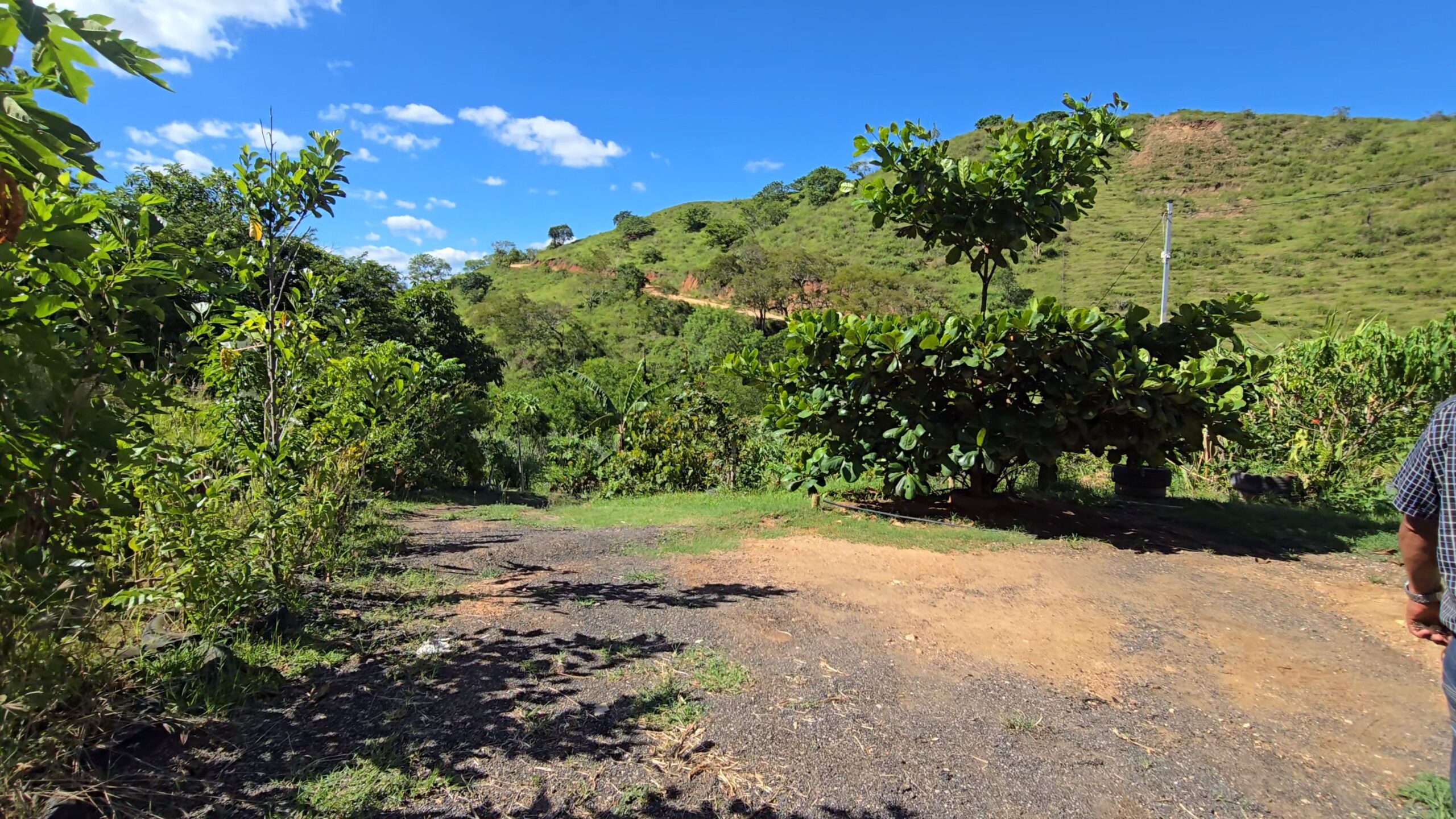 Snapshot_619-compressed