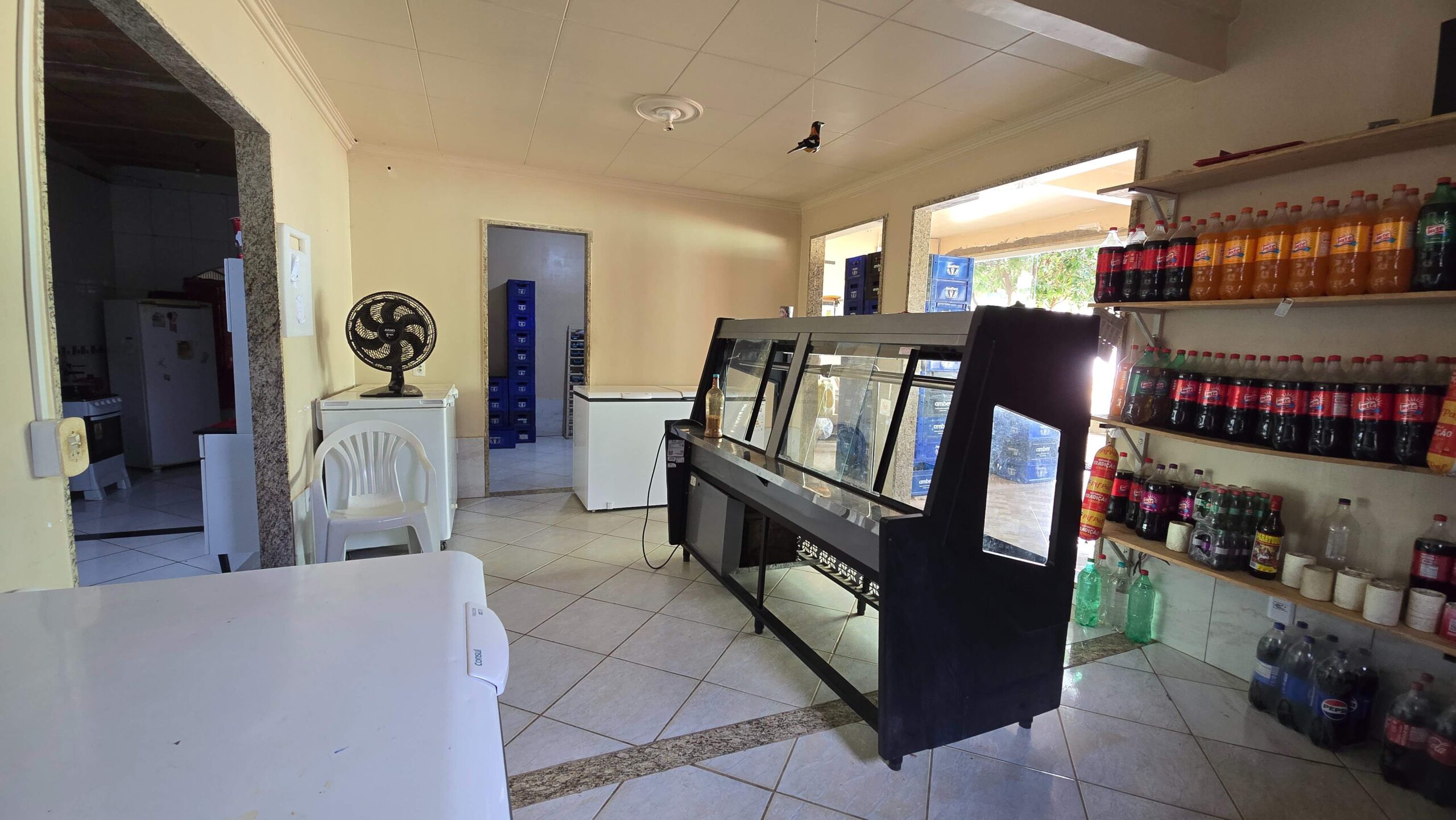 20260211_145115-compressed