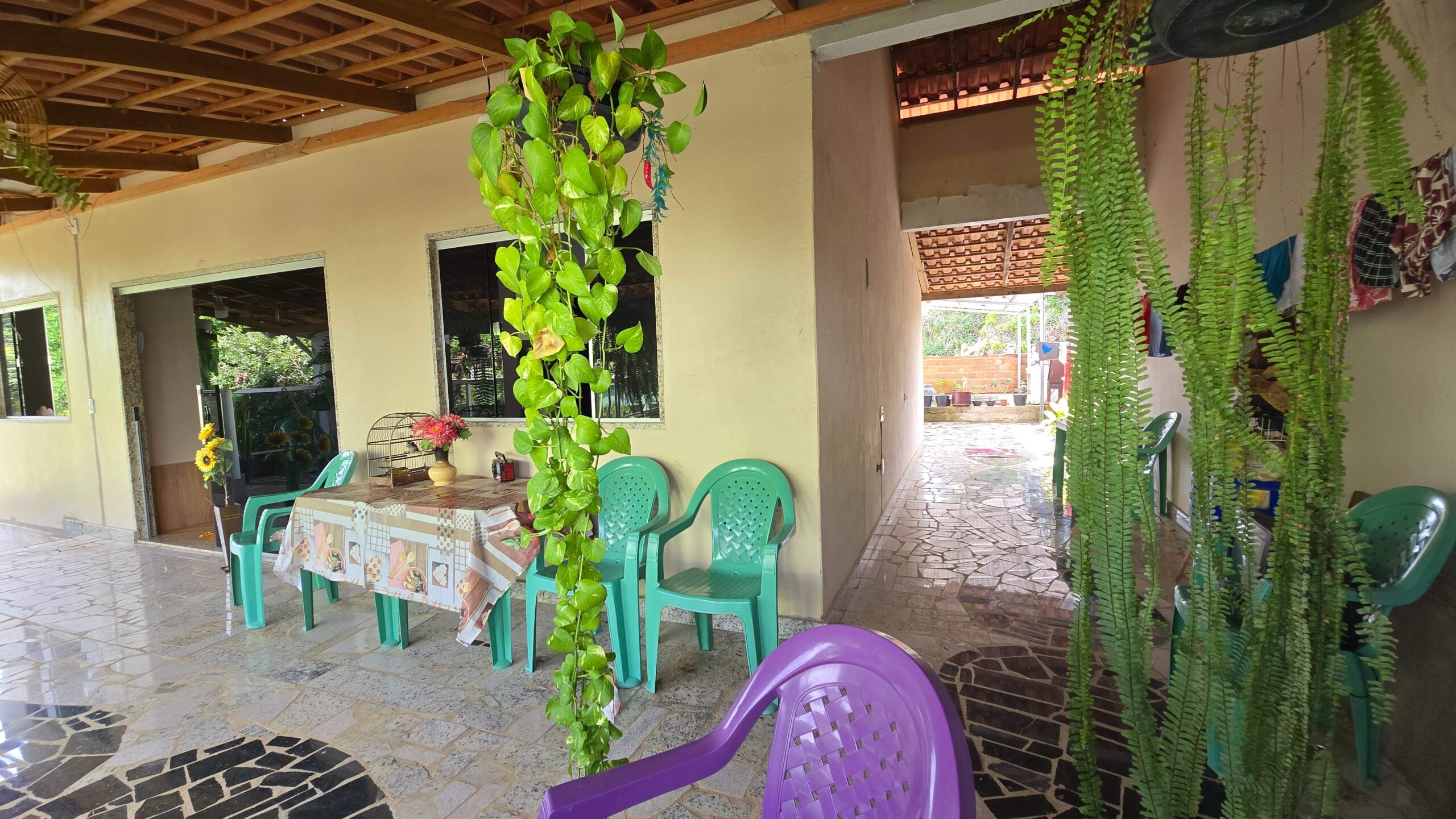 20260211_145446-compressed