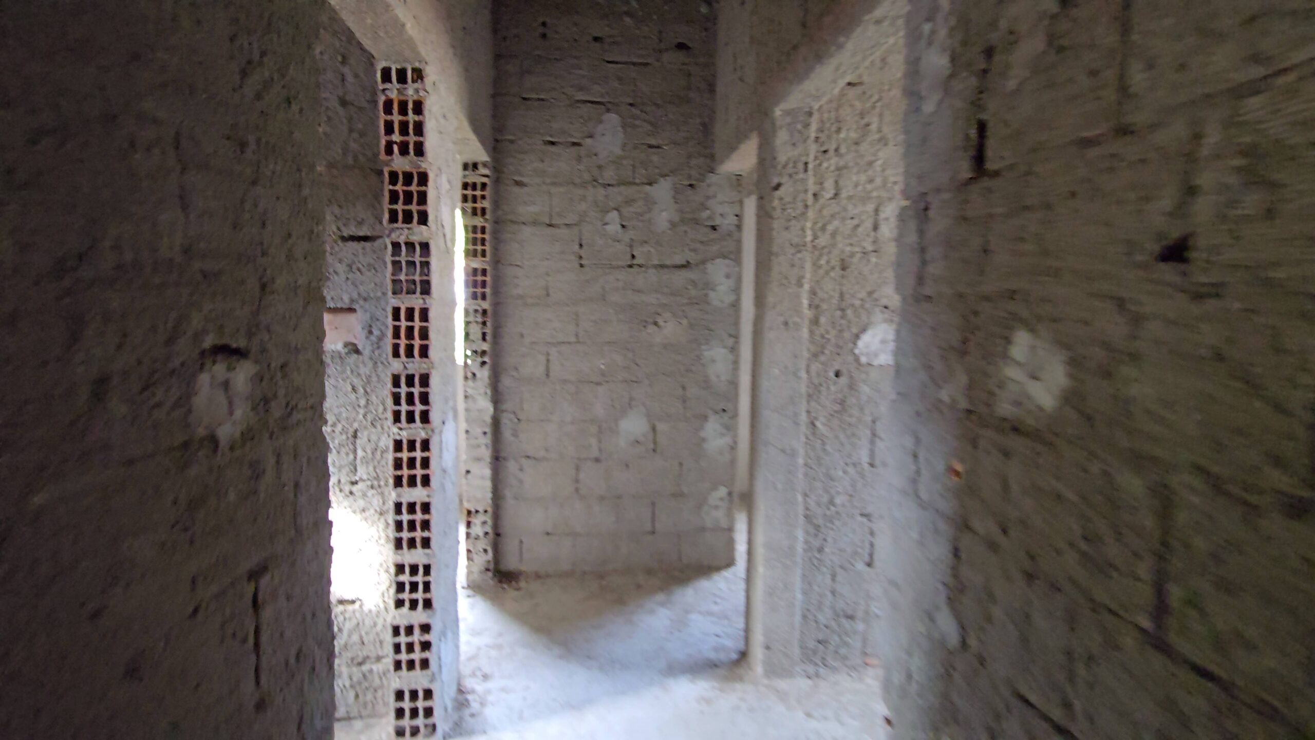 Snapshot_659-compressed