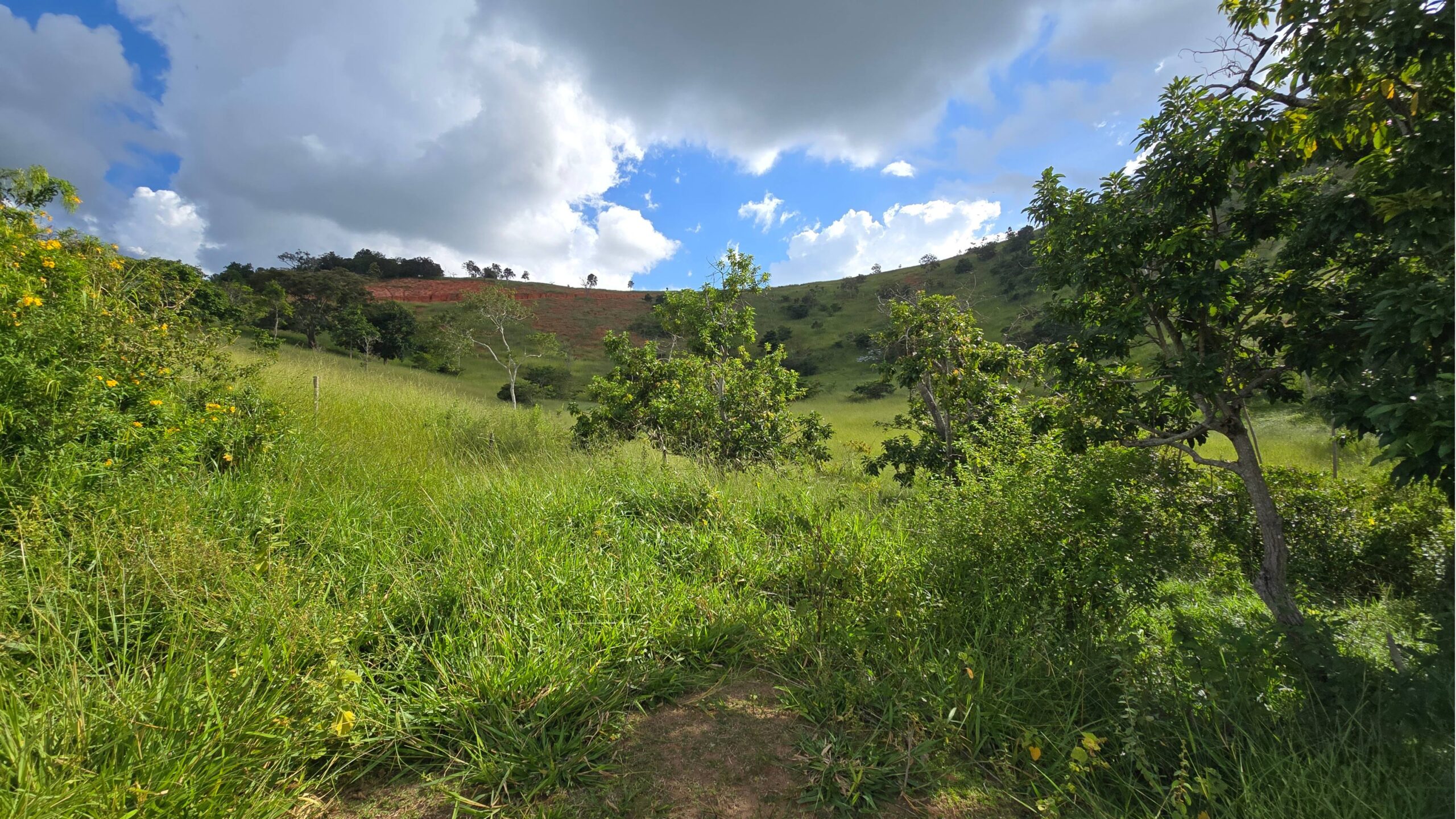 terra de 19 hectares no site do Wasley Santos