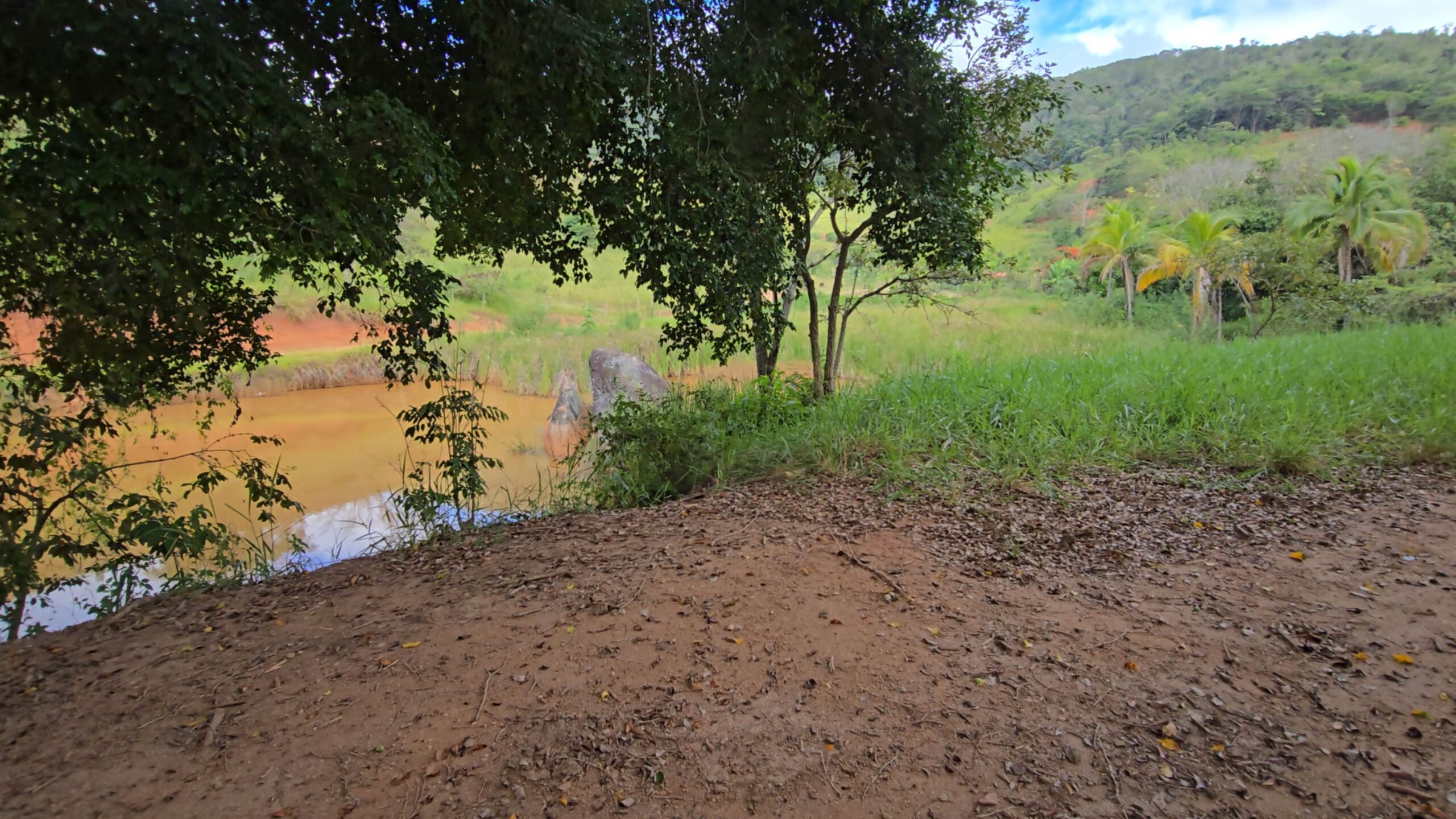 Terra a venda em São geraldo, de Floresta, vendido no site do Wasley Santos o Melhor corretor da região ou até o melhor corretor de Minas Gerais, as vezes confundido pelo nome Wesley Santos, que é bem parecido o nome